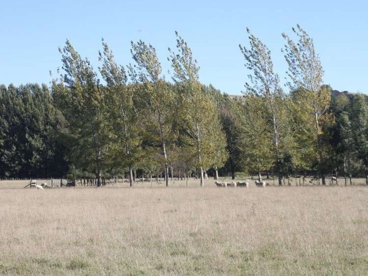 327 Bluff Rangitumau Road Rangitumau_23