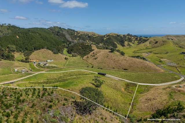 838 Black Jack Road Opito Bay_4