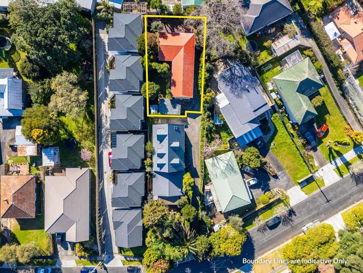 76A Gardner Avenue New Lynn_18