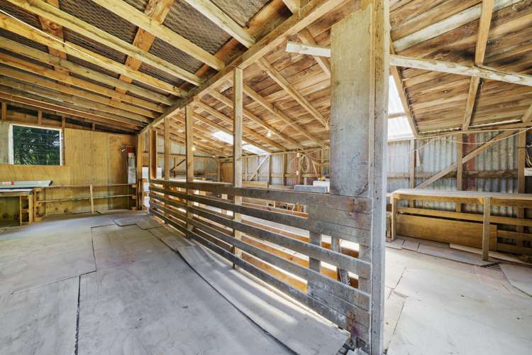 281 Takapu Road Takapu Valley_18