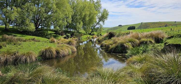 919 Miller Road Clinton and Surrounds_20