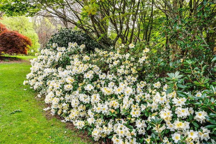 582 Old Coach Road Hastings Country_21