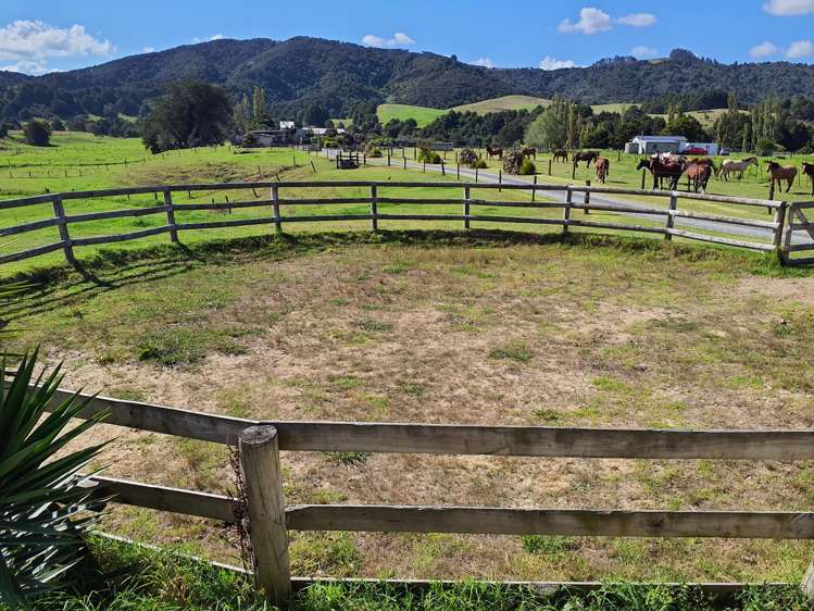 558 Helmsdale Road_2