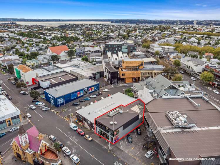 5 Rose Road Grey Lynn_11