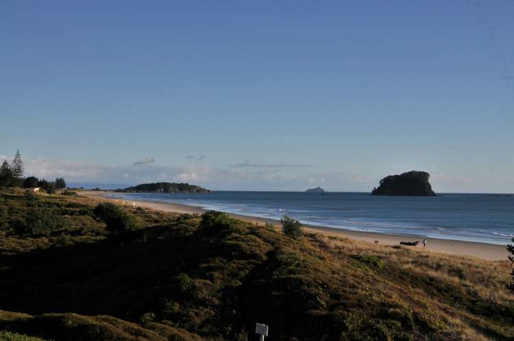 4/31 Rita Street Mount Maunganui_20