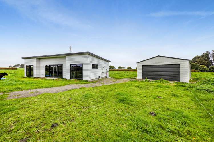 62 Hassard Street_0