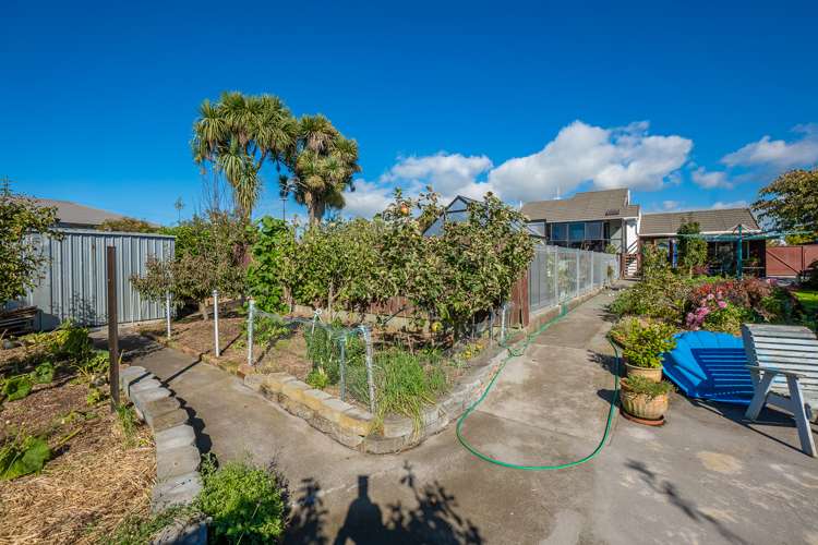 6 Memorial Avenue Parkside_25