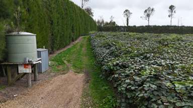 206 Casuarina Drive_3