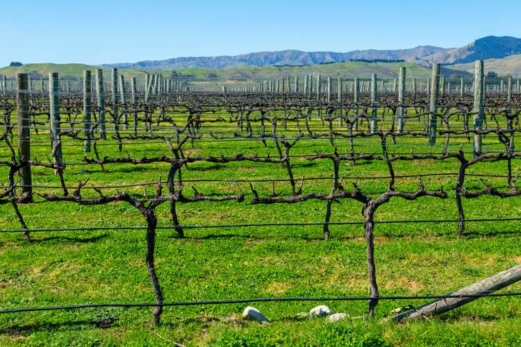 97 Shandon Road Waihopai Valley_13