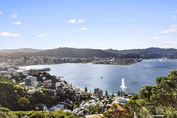 53 Palliser Road Roseneath_13