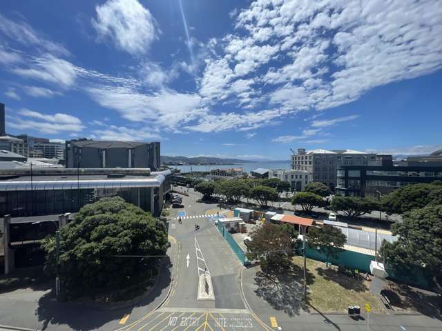 Address withheld Te Aro_3