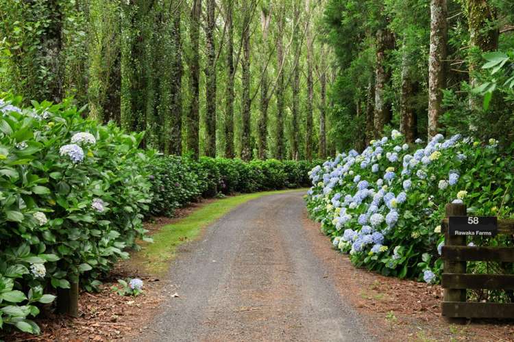 58 Rawaka Drive Katikati_24