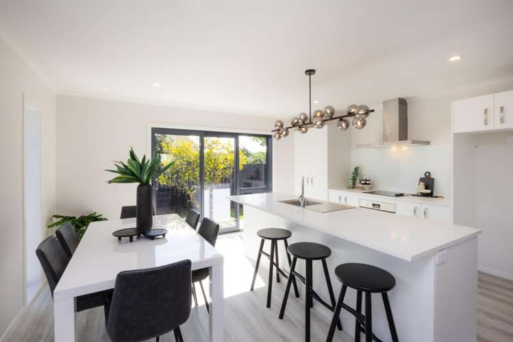 1a Christian Place Awapuni_1