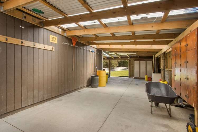 189 Thompsons Track Katikati_25