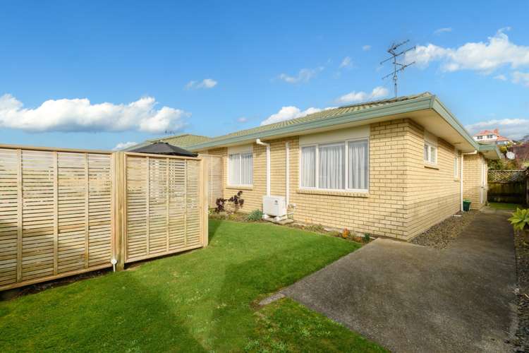 60b Freyberg Street Otumoetai_16