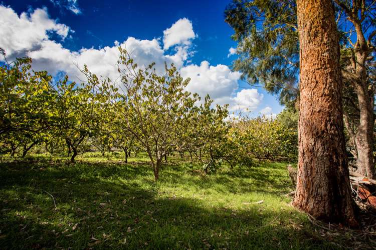 309 Larmer Road Kaitaia_23