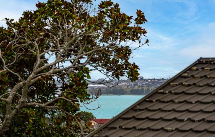 46 Advene Road Cockle Bay_13