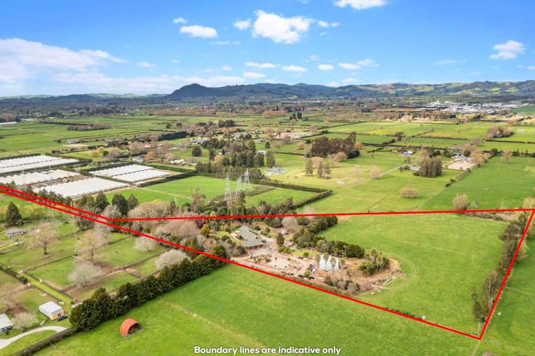 339 Hautapu Road Tamahere_12