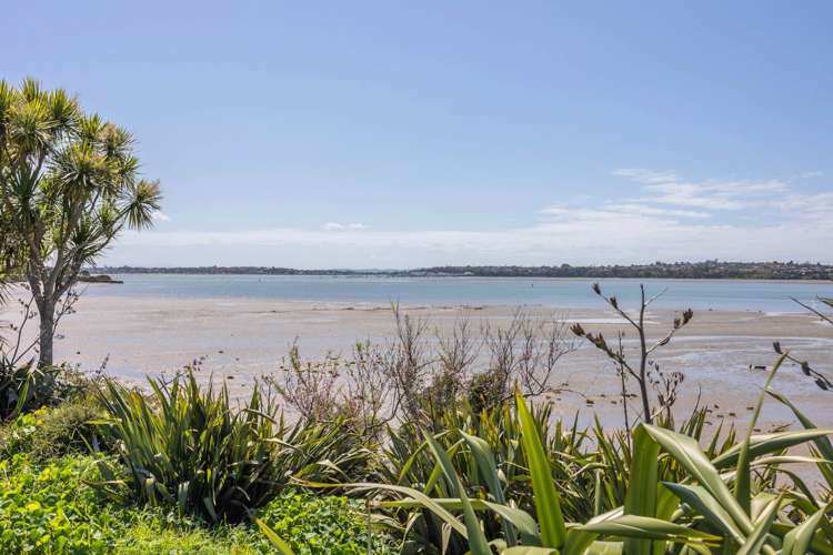 48C Tamatea Avenue Pt England_20