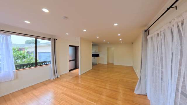 Dominion Road Mt Eden_1