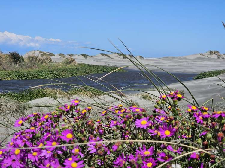 39 Muaupoko Street Hokio Beach_10