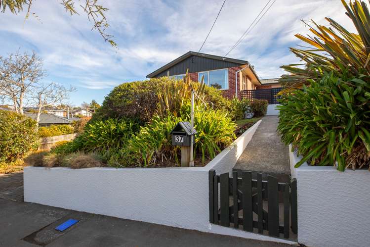 37 Kauri Street Highfield_42