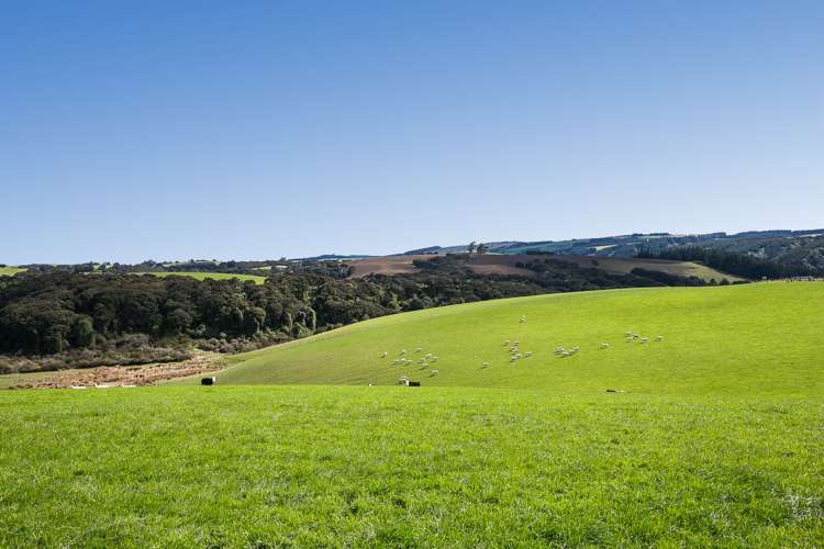 1087 Table Hill Road Milton_11