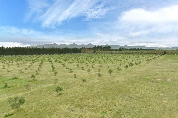 331p Georges Road Amberley_18