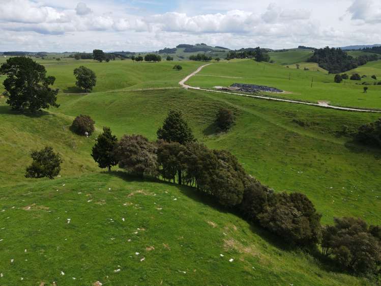 110 Stringers Road Putaruru_18