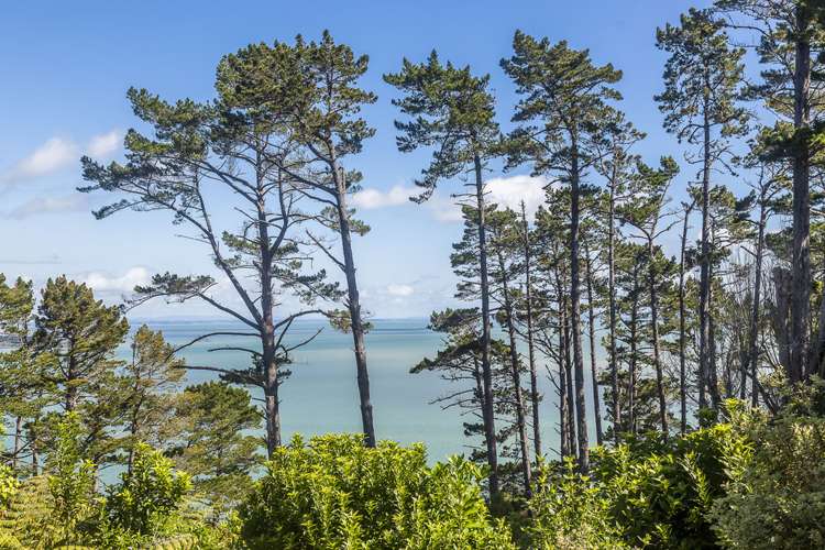 37 Sylvania Crescent Lynfield_5