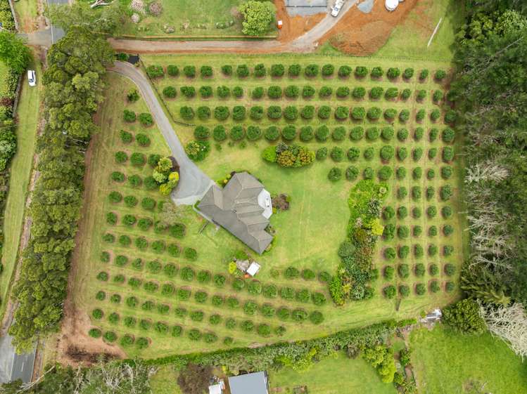 292 Vinegar Hill Road Kauri_26