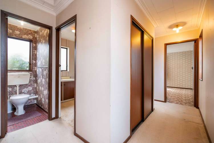 667 Castle Street North Dunedin_13