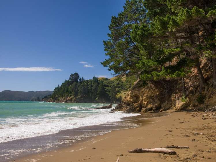 5193 Croisilles-French Pass Road Marlborough Sounds_12