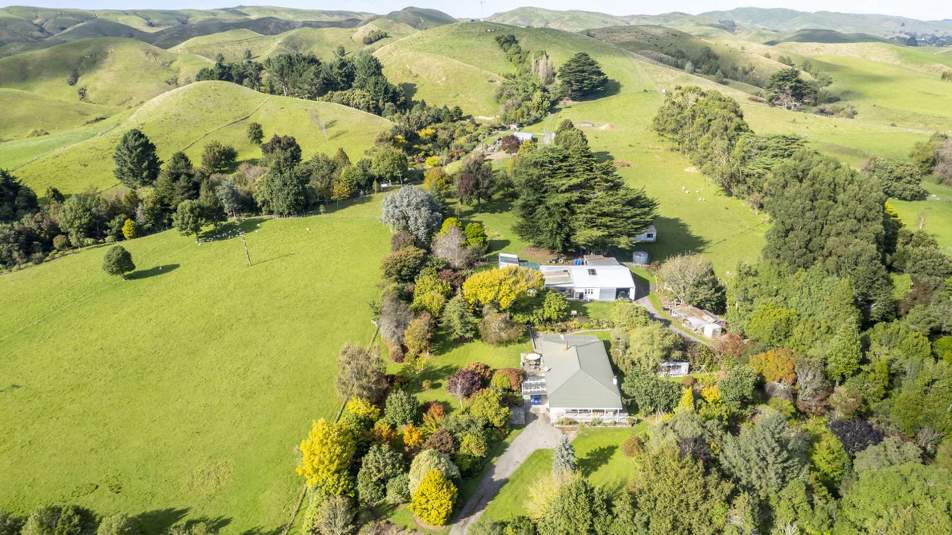 124 Alfredton Road Eketahuna_0