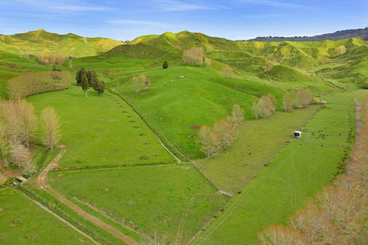 486 Ngatarawa Road Mahoenui_21