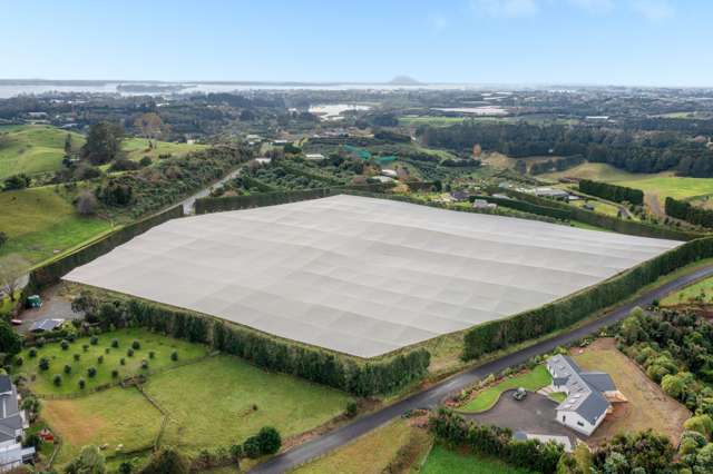 125b Whakamarama Road Whakamarama_2