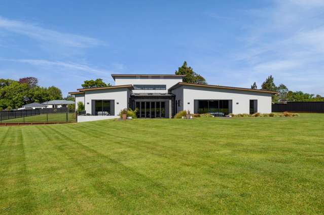 Stunning, Luxurious and Rare!