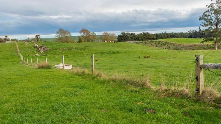 1241 Blythe Road Domett_33