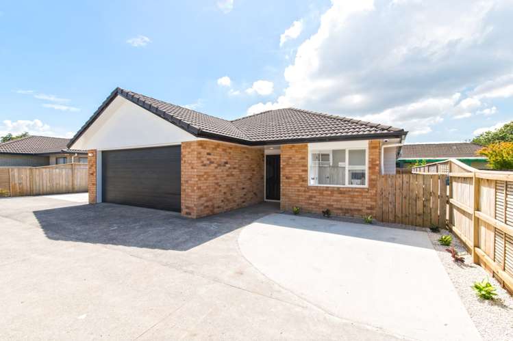 79a Ash Street Avondale_0