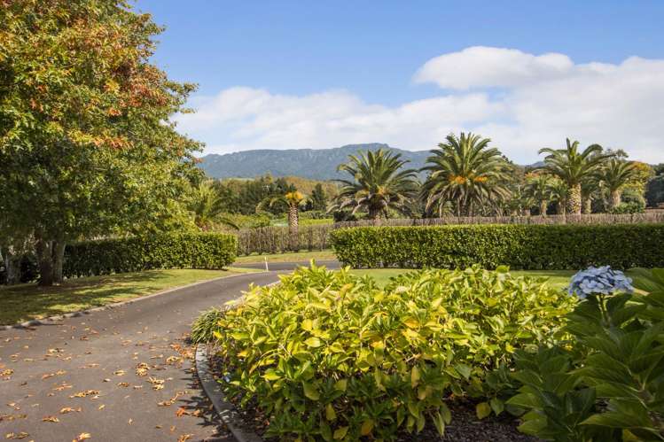 387 Wright Road Aongatete_18