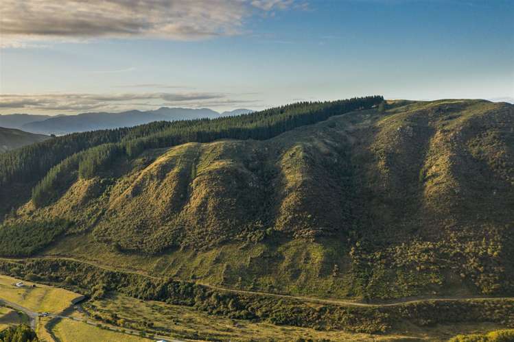 793 Taylor Pass Road Taylor Pass_11