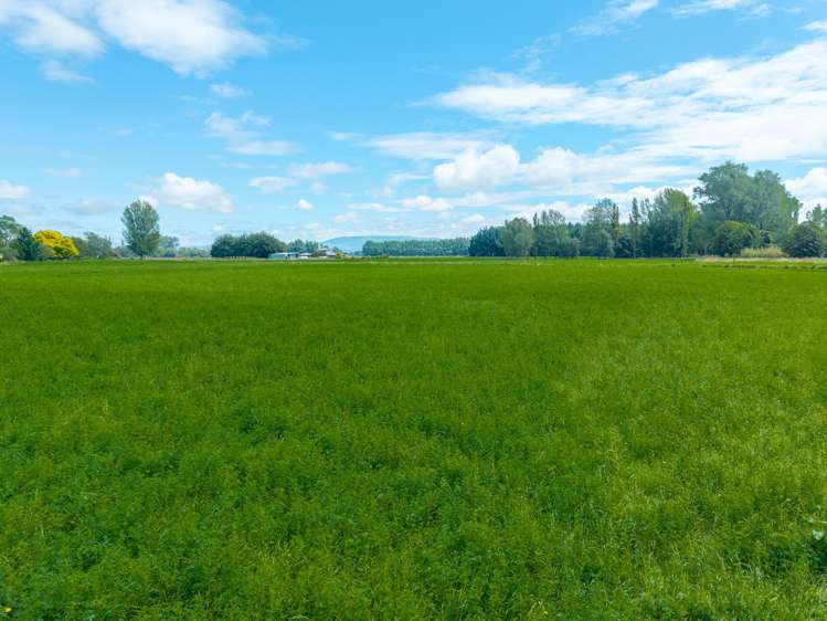 206 Winchester Geraldine Road Geraldine Flat_20