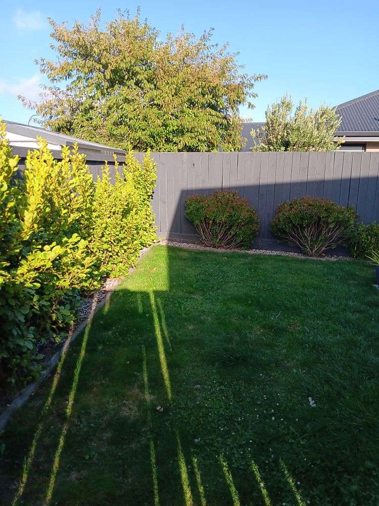 33 Camborne Crescent Blenheim Central_16