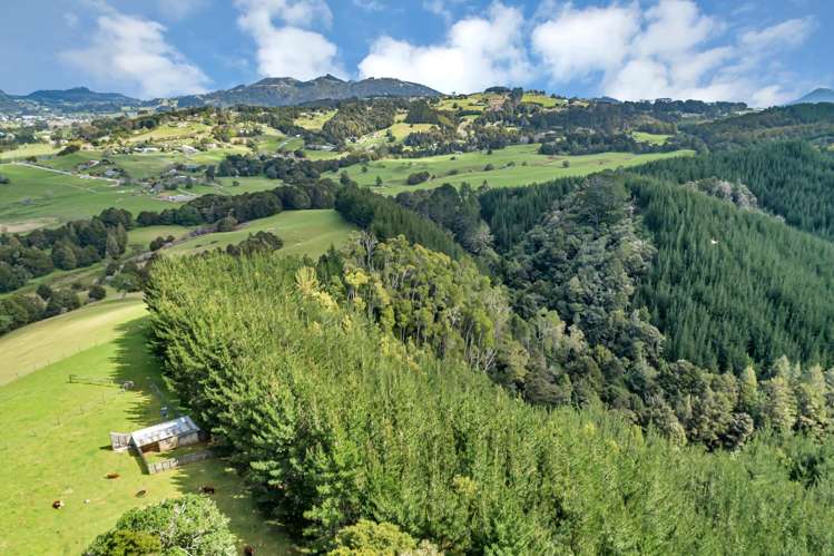Lot 2, 106 Totara Park Lane Glenbervie_6