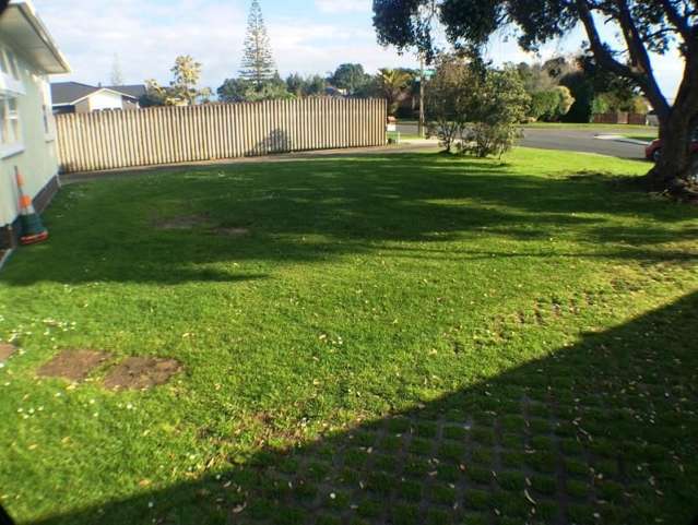 29b Elizabeth Street Masterton_2