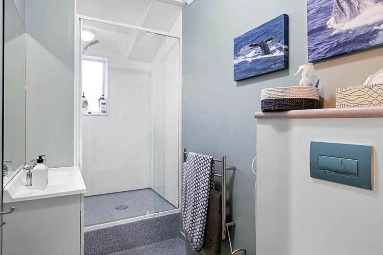 67b Brooklands Road Brooklands_19