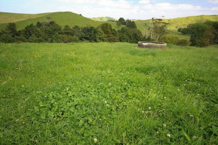 293 Lindquist Road Otamatea Surrounds_7