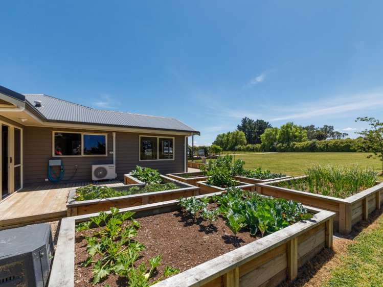 2207 State Highway 3 Sanson_11