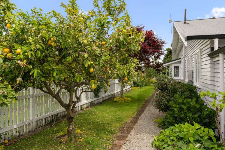 3 Cheeseman Road Inner Kaiti_16