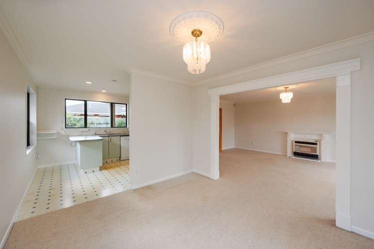 48a Albert Street Palmerston North Central_8